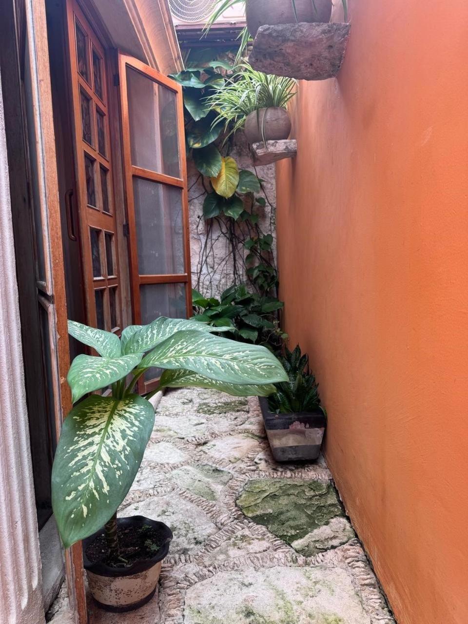 Hotel Casa Mallorca Cancún Exterior foto