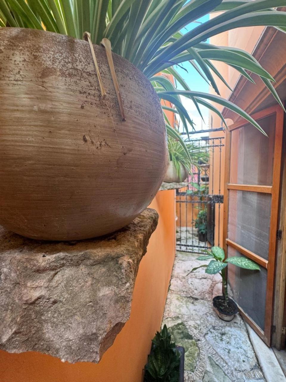 Hotel Casa Mallorca Cancún Exterior foto